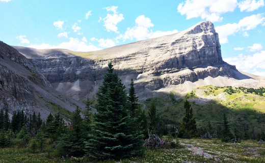 berg-1-600x398.jpg