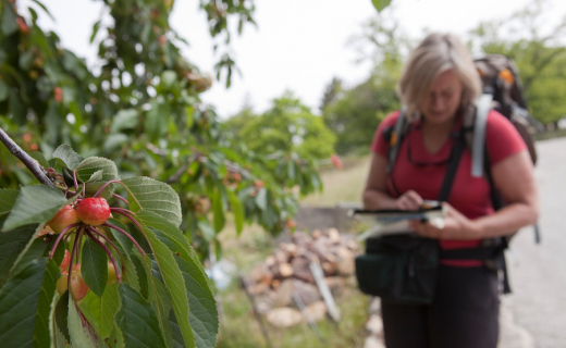 wandelen serra da estrela