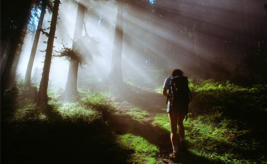 Himmelsleiter, Großarltal 