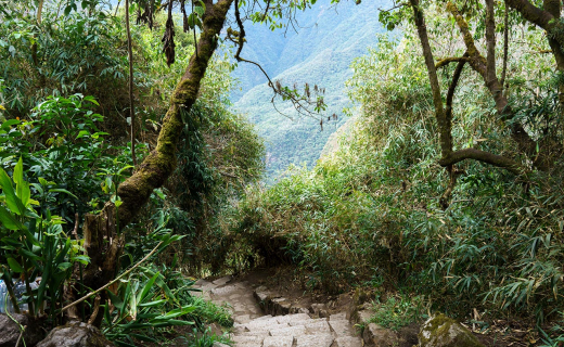 inca-trail-1-600x398.jpg