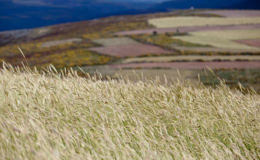 dag-5_-PR-15-rota-do-Covao-de-Santa-Maria----004