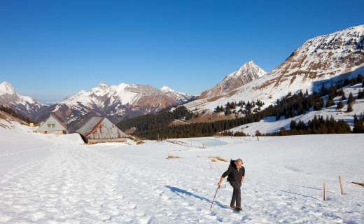 sneeuwschoenwandelen-massif-bauges-frankrijk-03