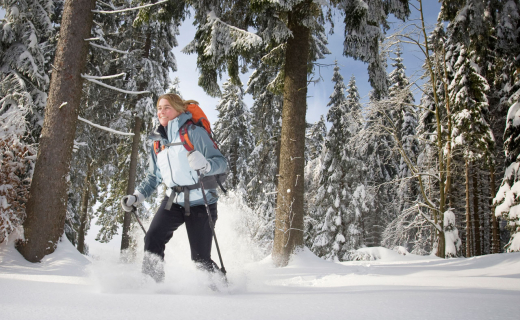 sneeuwschoenwandelen-sauerland-01