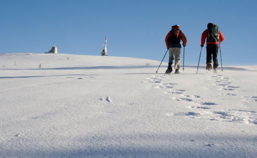 sneeuwschoenwandelen-zwarte-woud-01