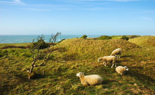 Côte d'Opale. Foto: Kees Lucassen.
