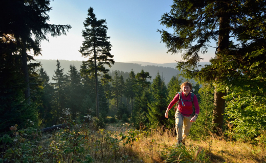 Het Thüringer Wald wordt het Groene Hart van Duitsland genoemd. Niet voor niets!
