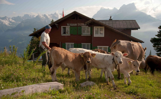 wandelen-urner-alpen-zwitserland-11