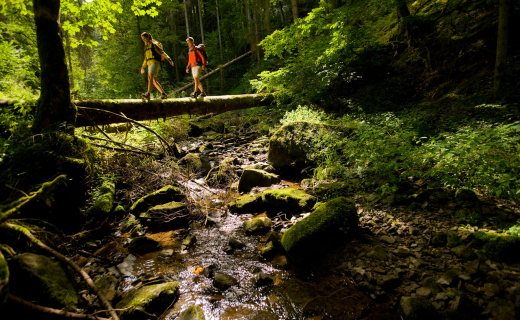 De Schluchtensteig van Stühlingen naar Wehr, 118 km. Foto: Daniel Geiger.