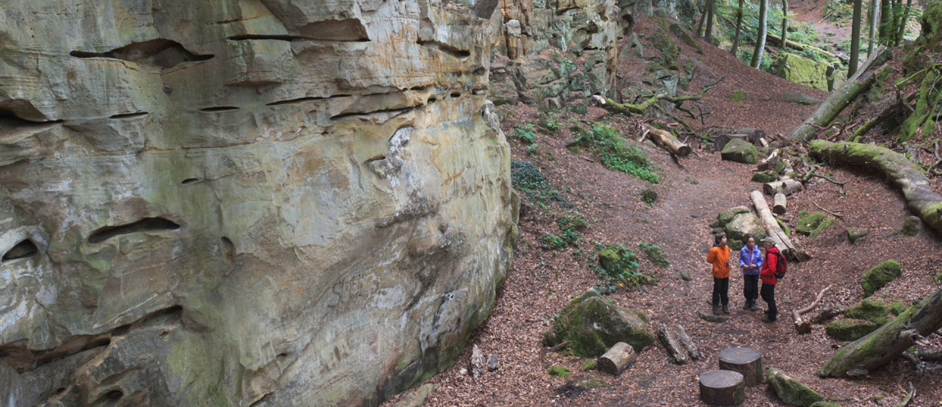 Wandeling in de Eifel
