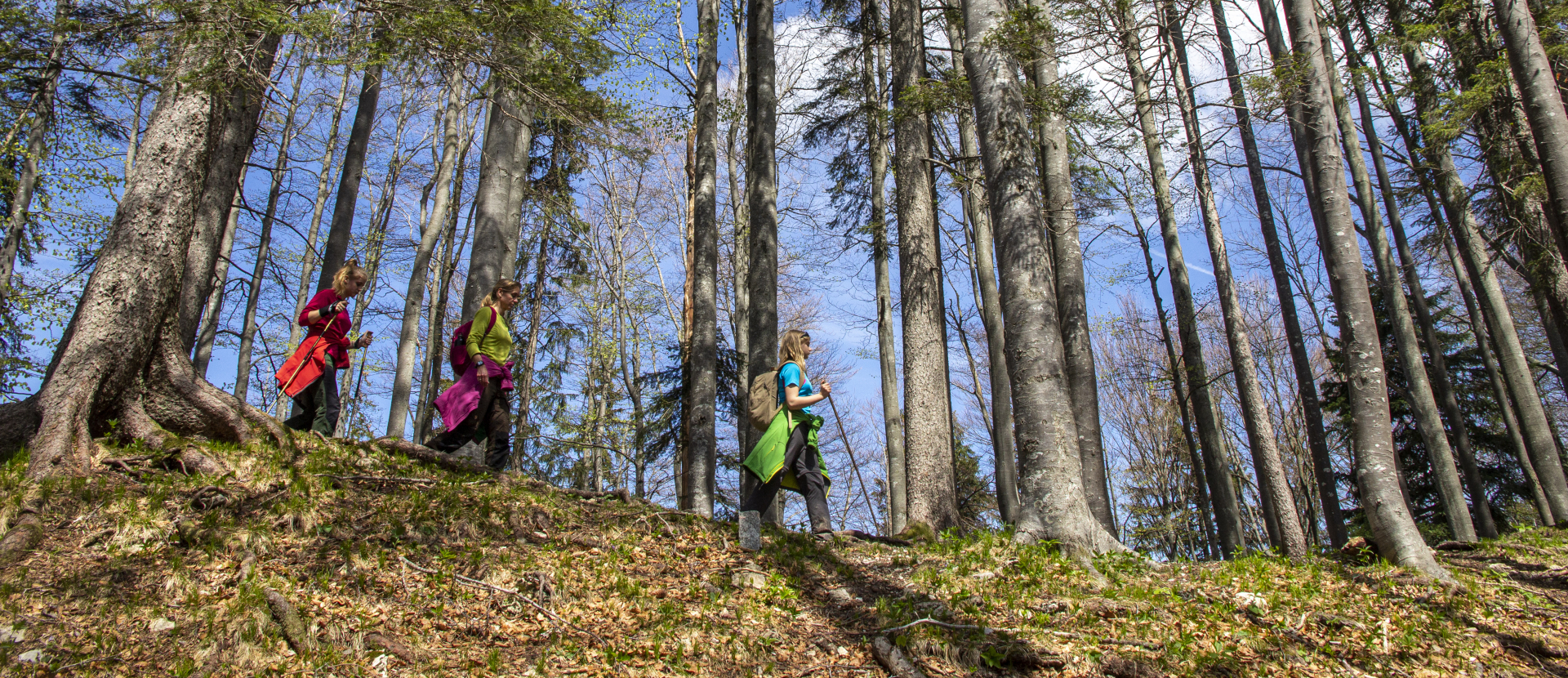 mensen, wandelen, bergpad, bospad, Sjiva Janssen