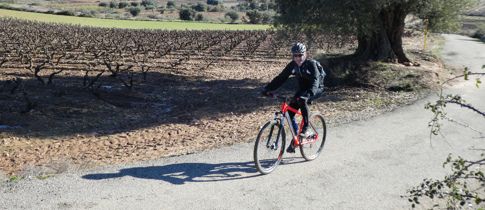 Fietsen in de Rioja