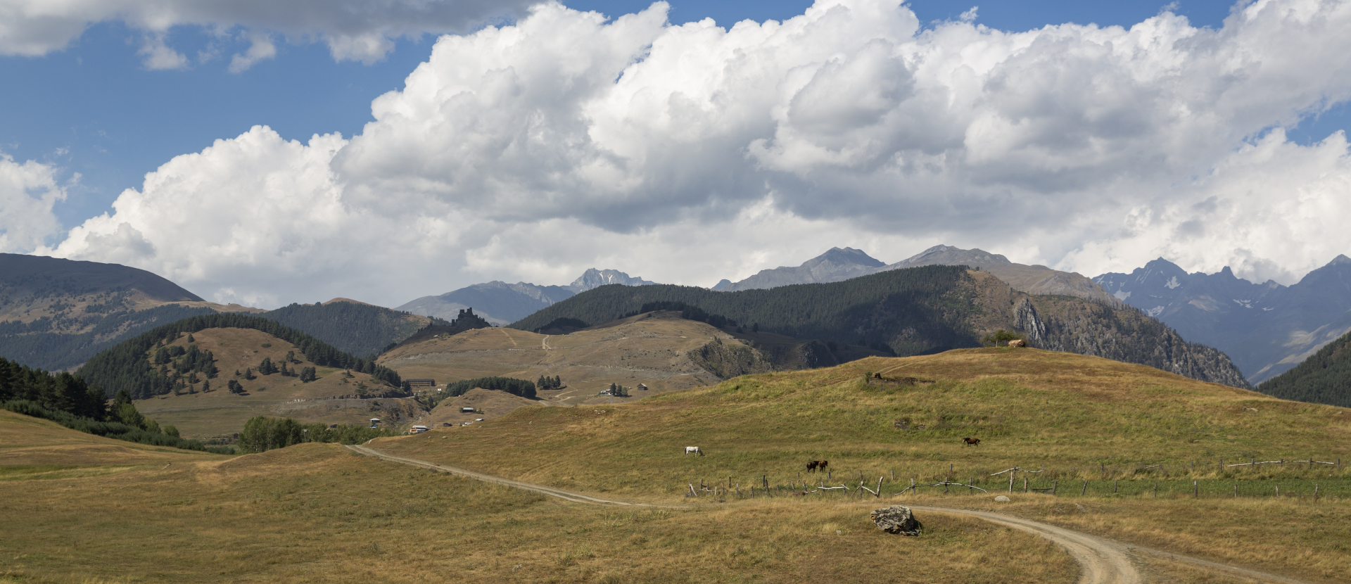 Karpaten, Georgië, Lex van den Bosch, paarden, bergen