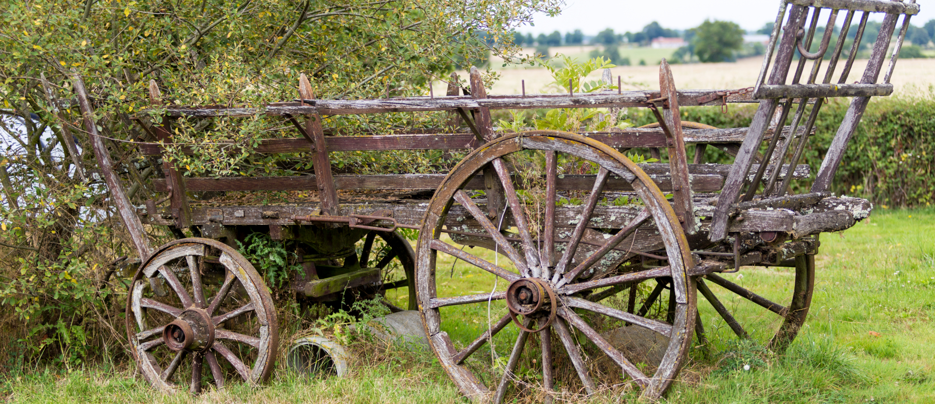 Wandelen, Auvergne, Frankrijk, Vulkaangebied, Gijs Hardeman