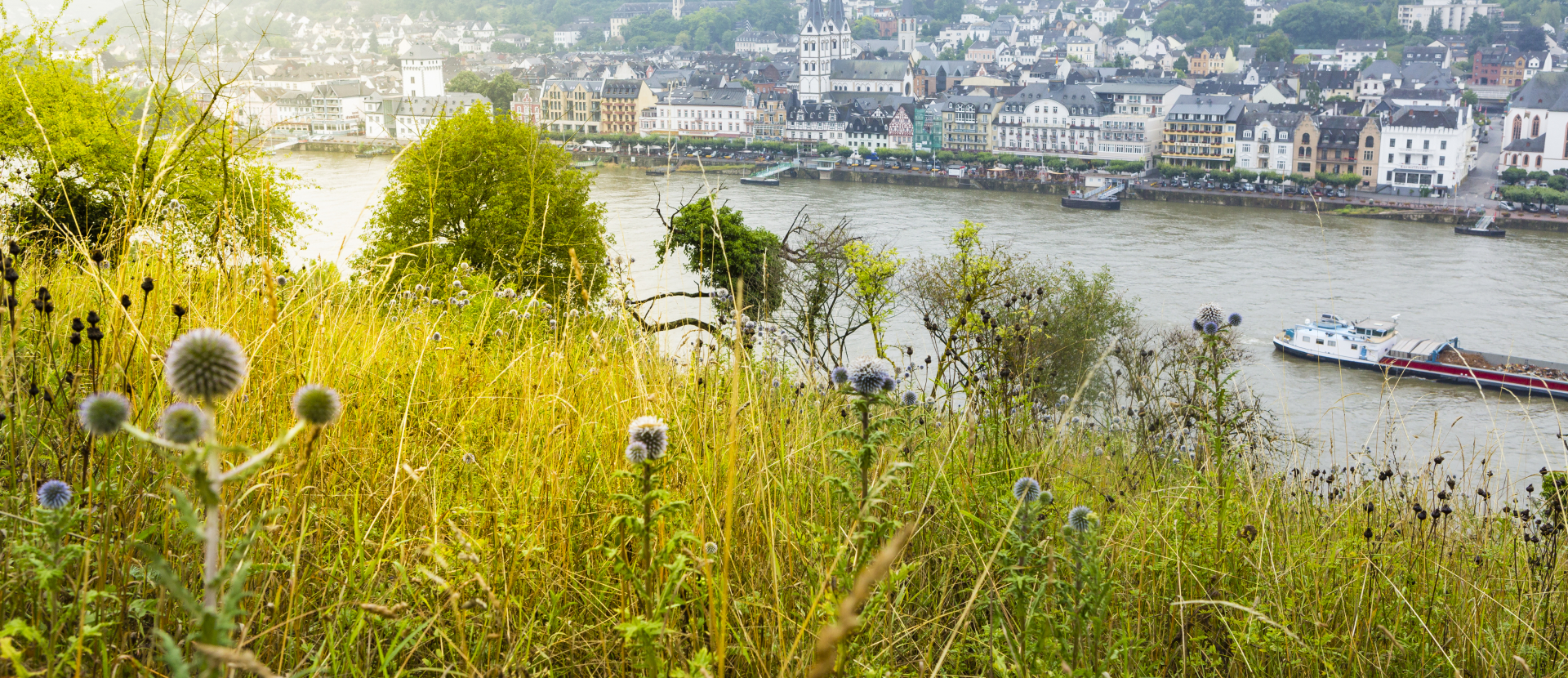 Rheinsteig trail wandeling