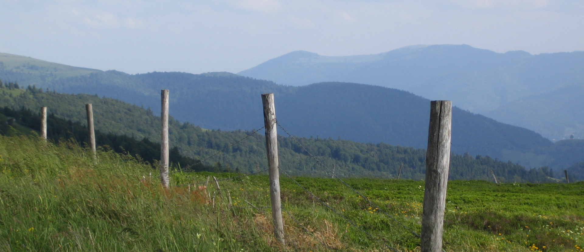 hekjes, weiland, bergen, bergketen, vogezen, Frankrijk