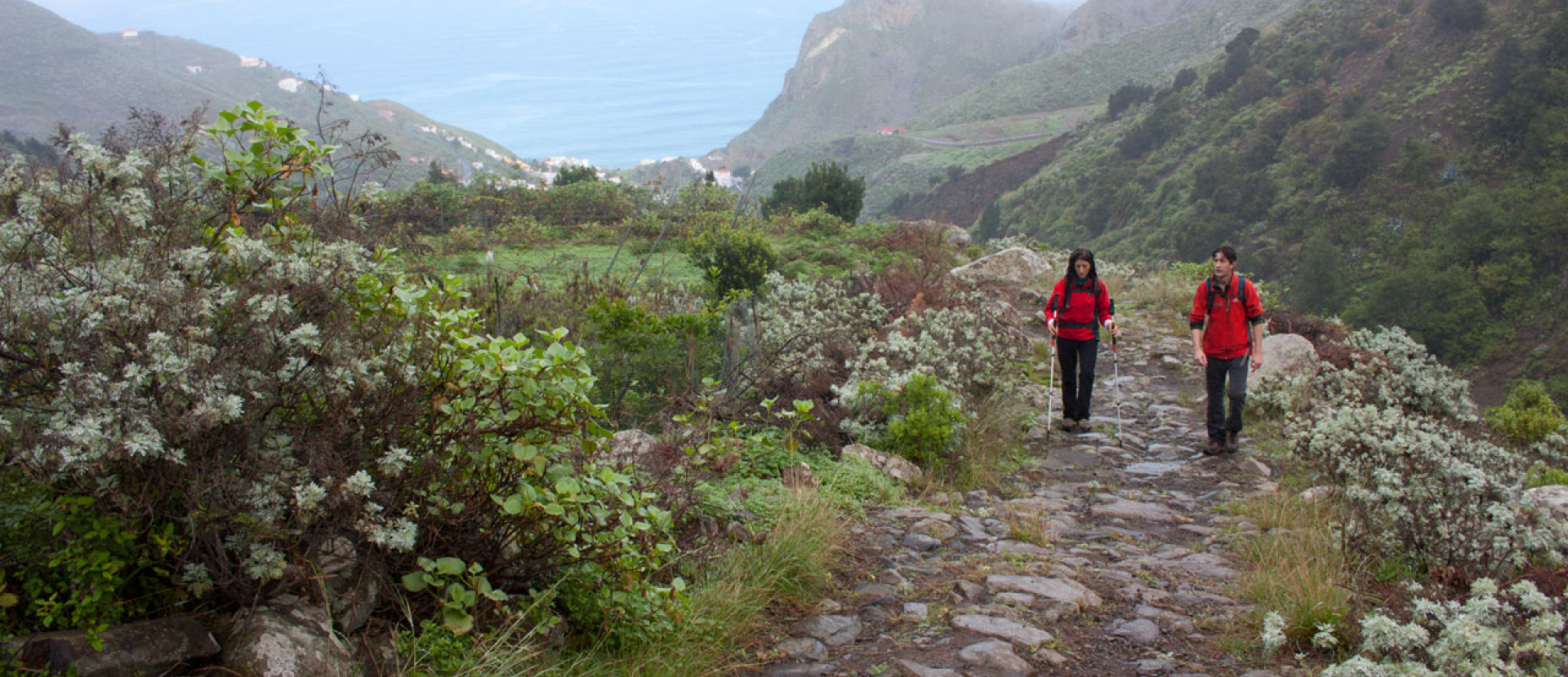 Wandelen Tenerife