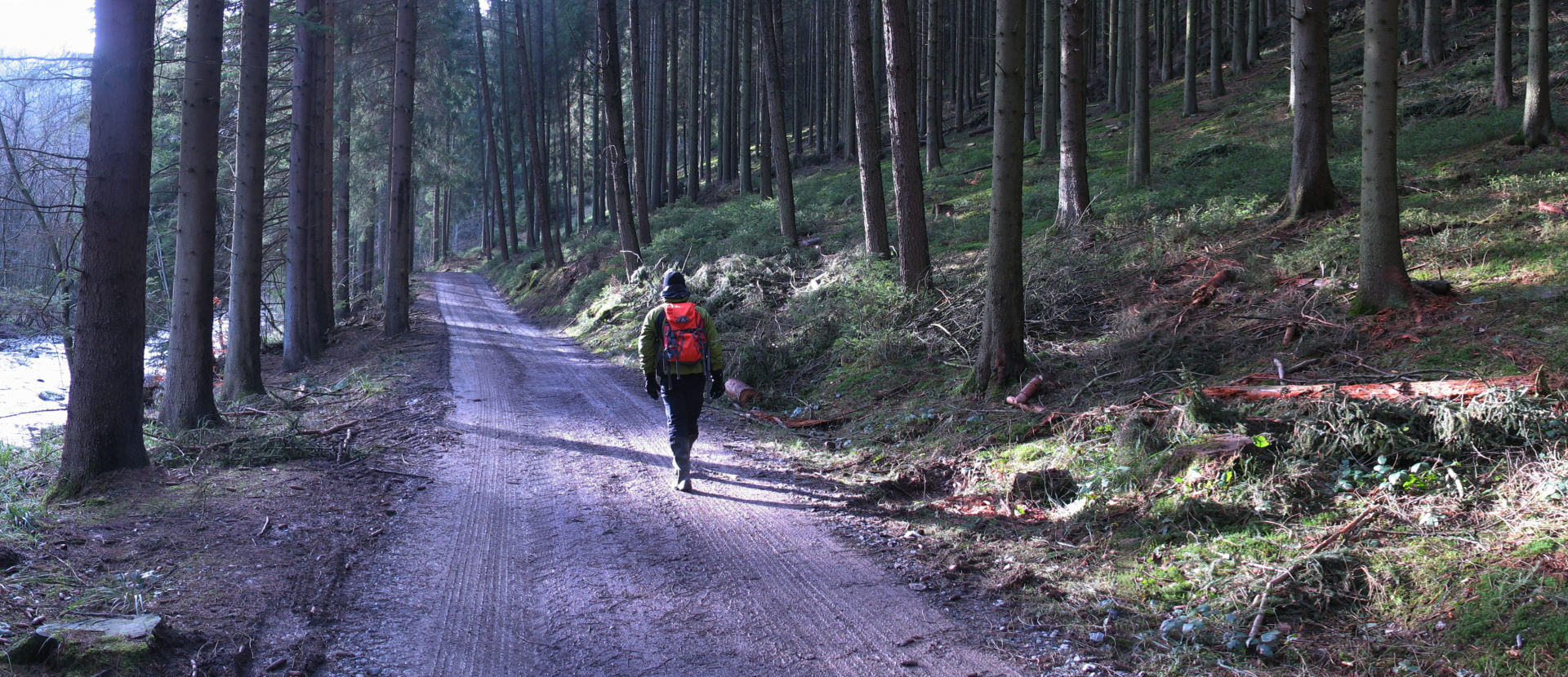 Wandelen Belgie Hoge Venen 01