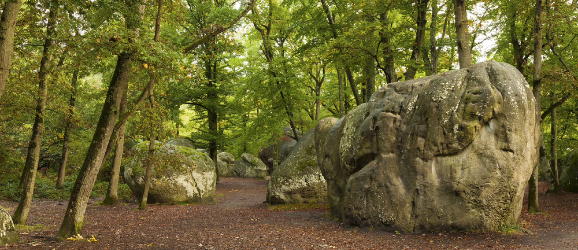 Fontainebleau, bos, parijs, frankrijk, wandelen