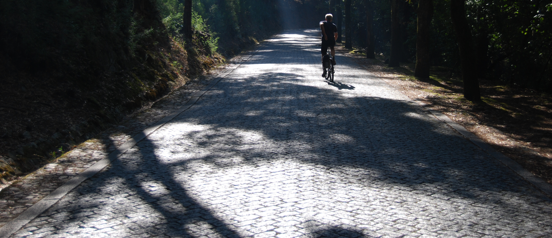 Coïmbra, man fietst op een pad