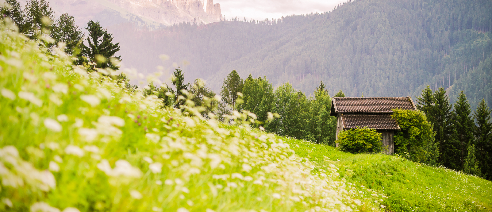 Rosengarten, Sjoerd Schimmel, uitzicht, vergezicht, bloemen, hutje op berg