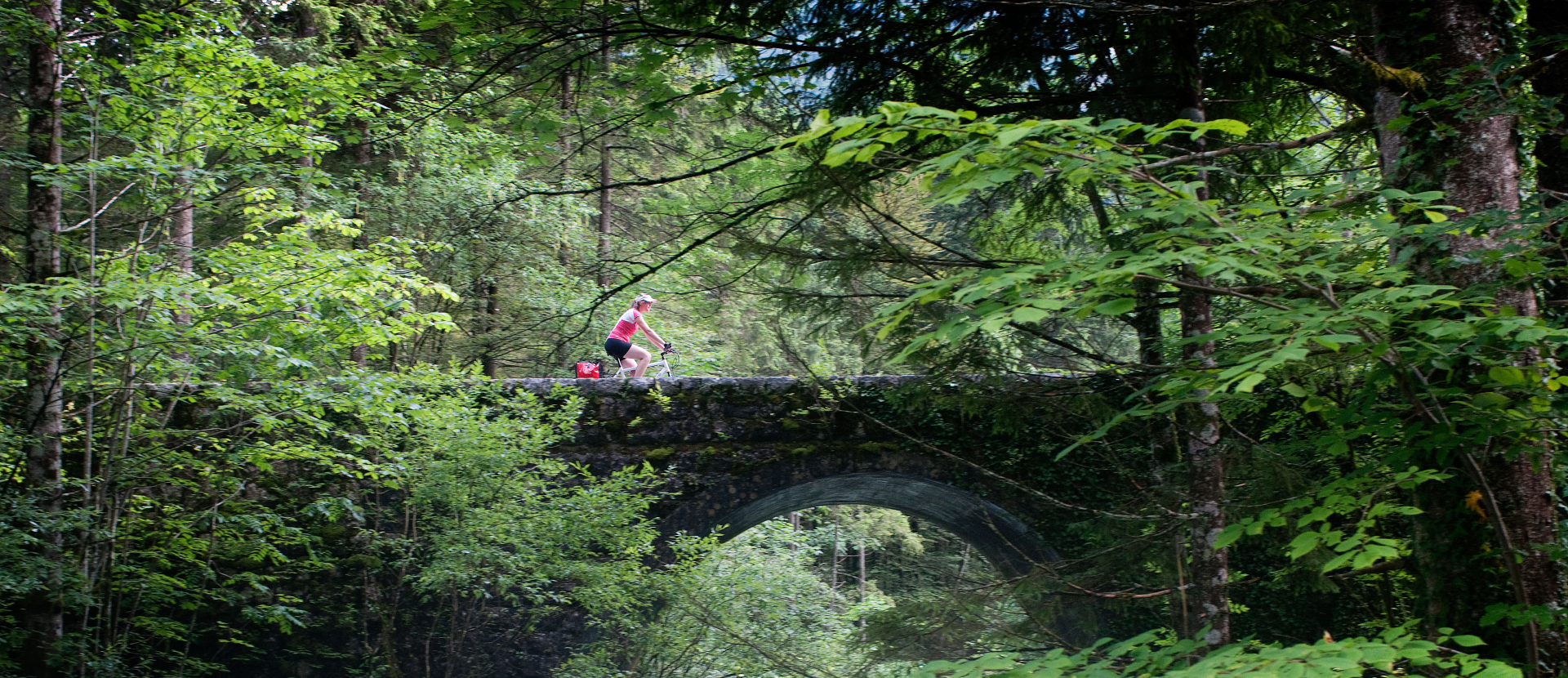 Fietsen in Slovenie