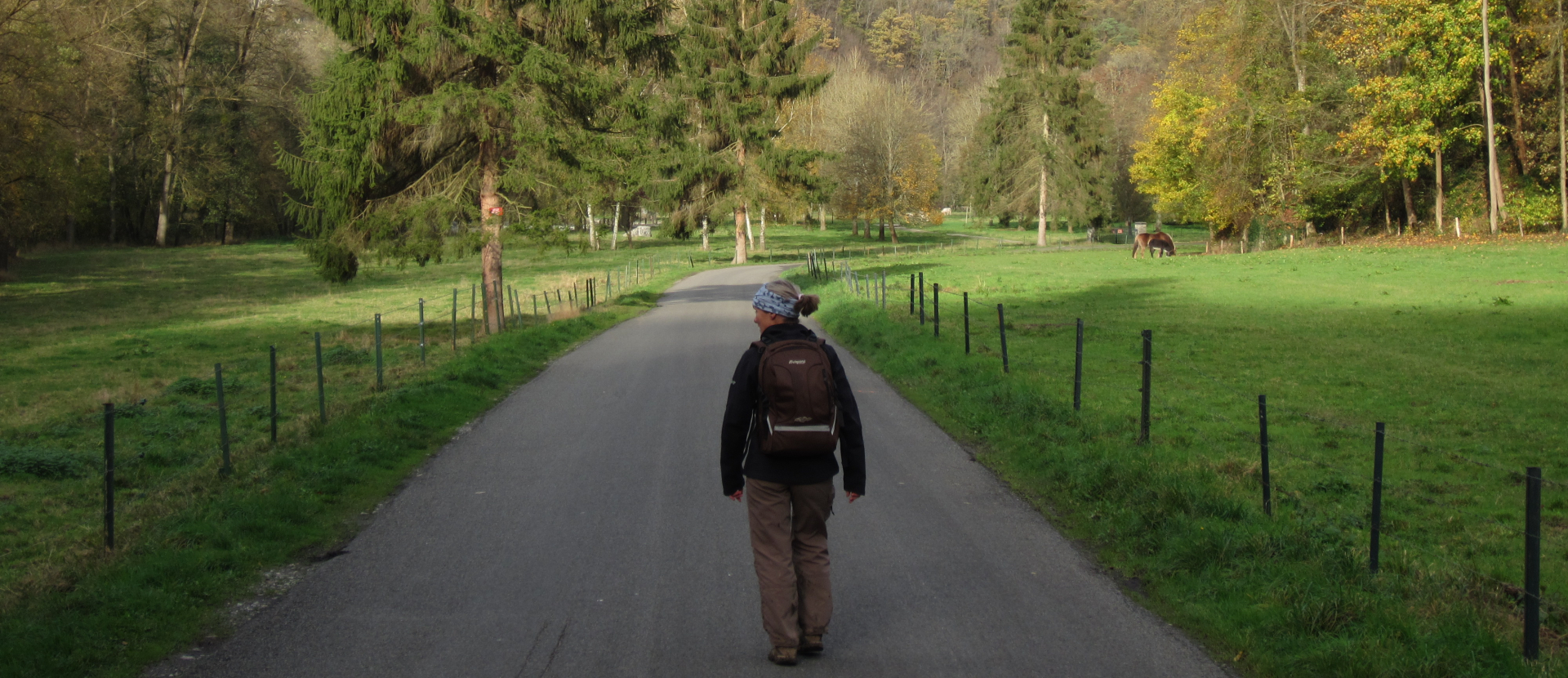Nederland en België, vrouw loopt in de natuur in Kempen