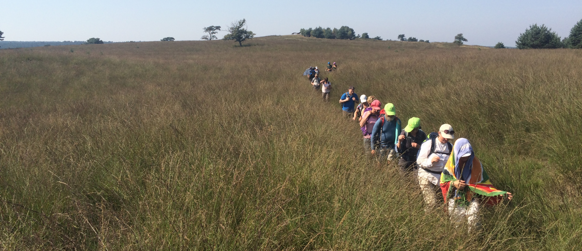 Veluwe, mensen lopen over de Veluwe