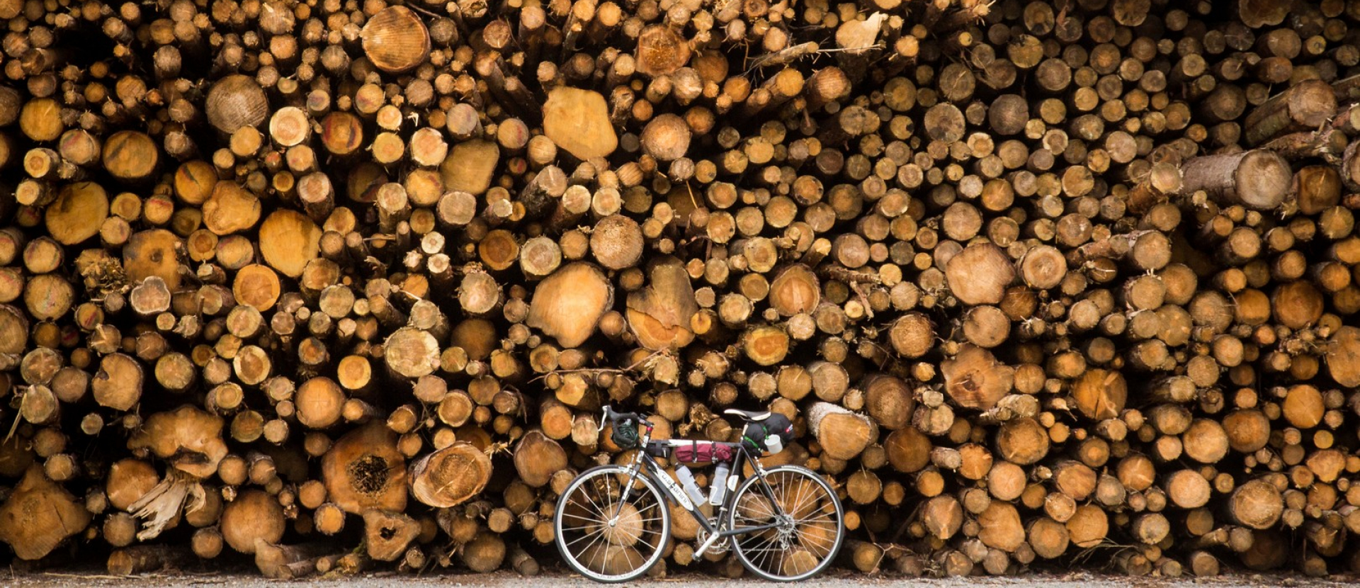 Fietsen Zweden Kattegatleden