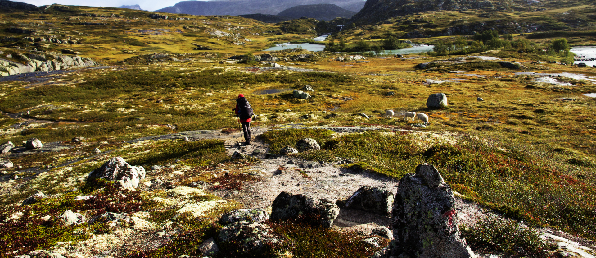 Wandelen in de Hardangervidda