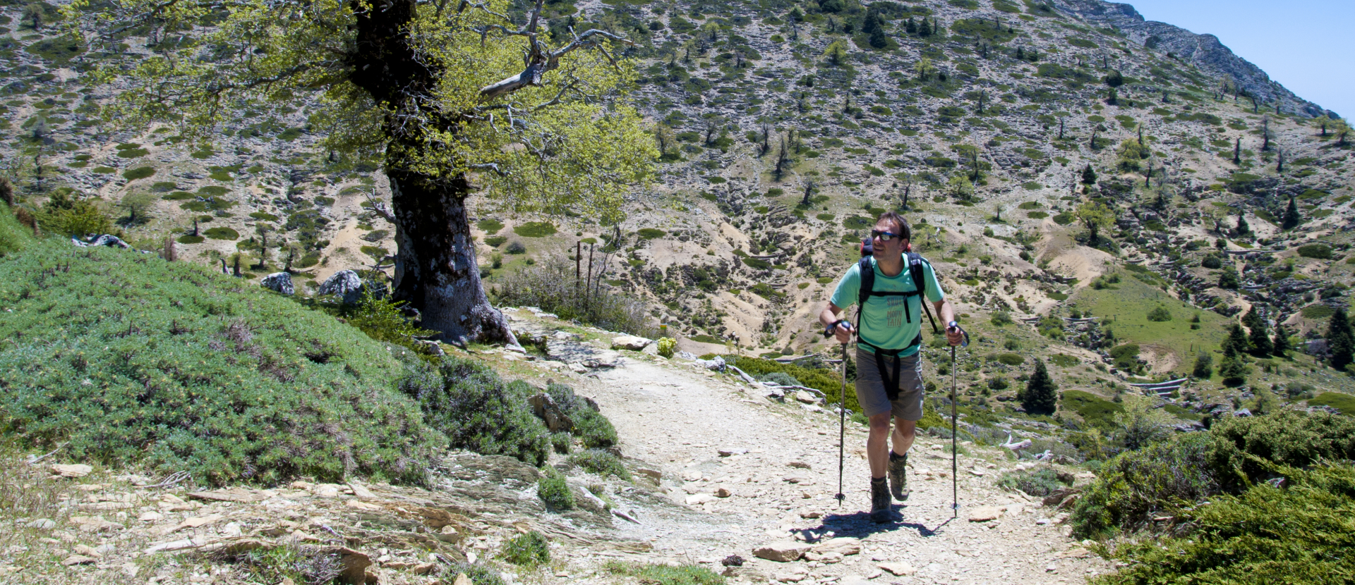 Sierra de las Nieves