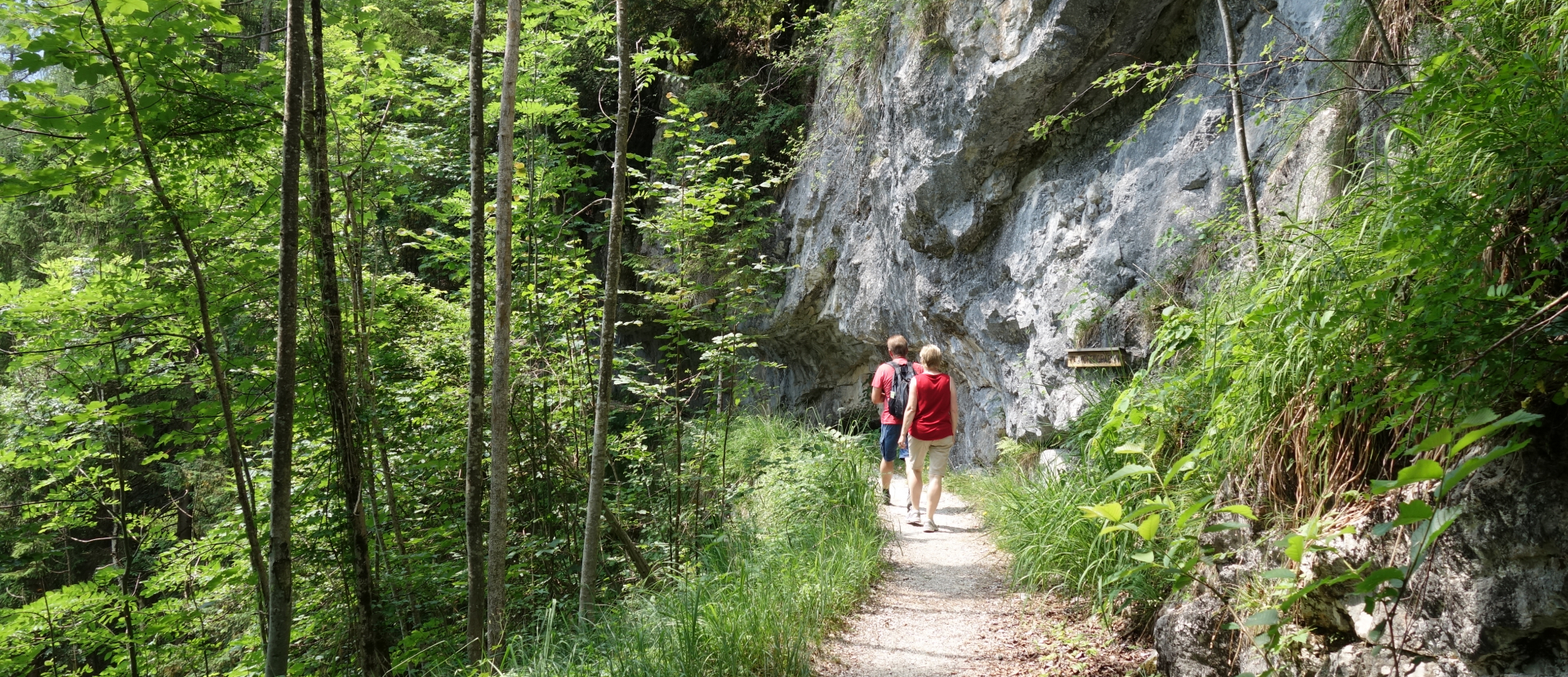Oostenrijk, mensen lopen in de bossen