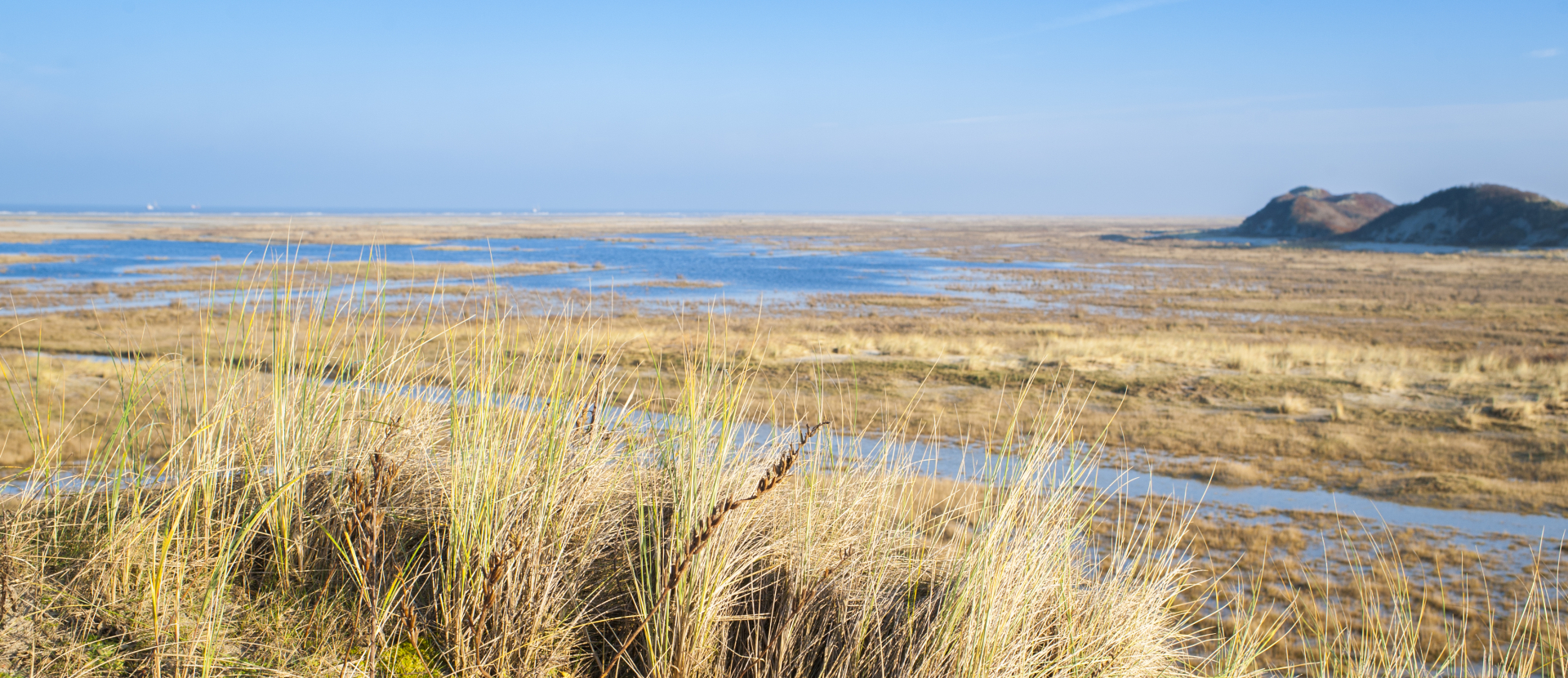 Waddenpad Schiermonnikoog