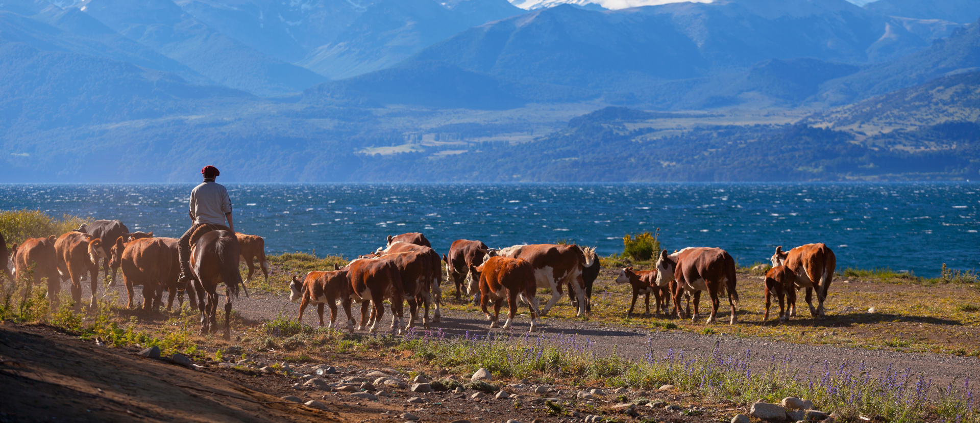 Argentinië, paarden onder aan de berg