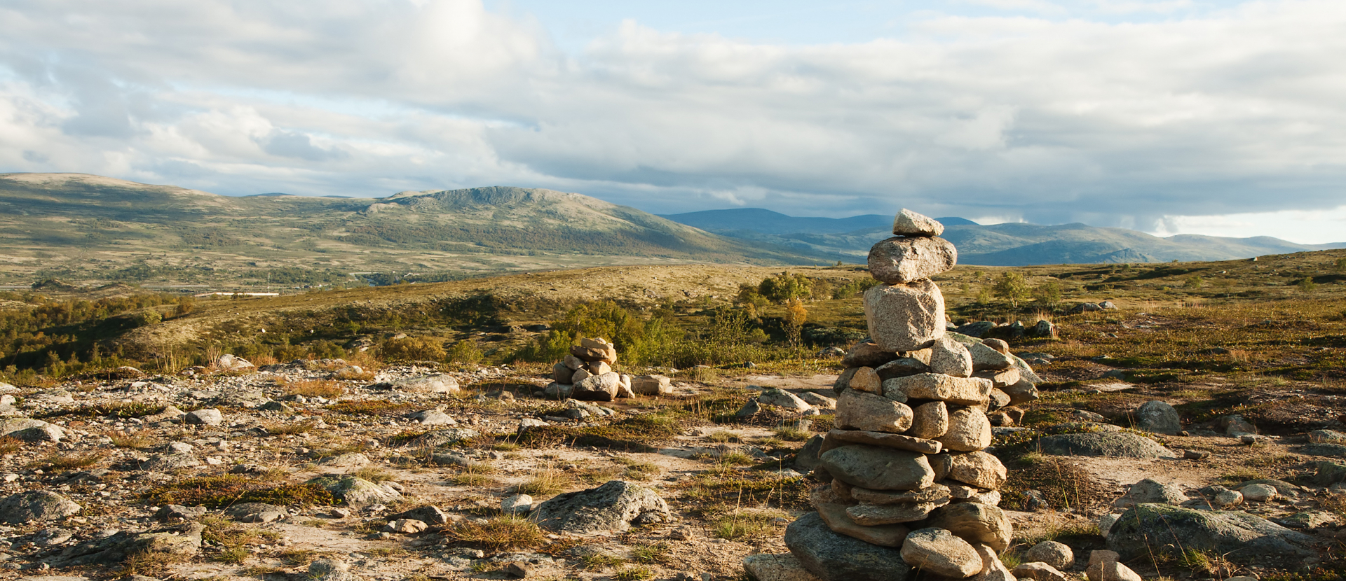 Dovrefjell, foto van stenen in de bergen