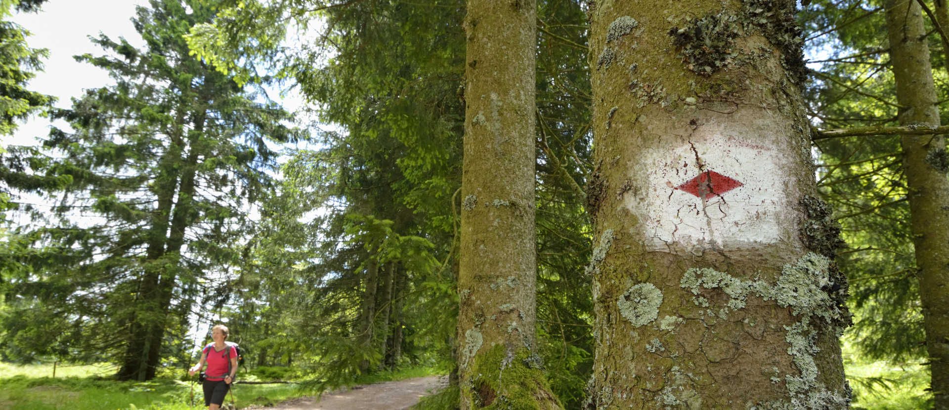 Westweg Zwarte Woud Ernst Kremers