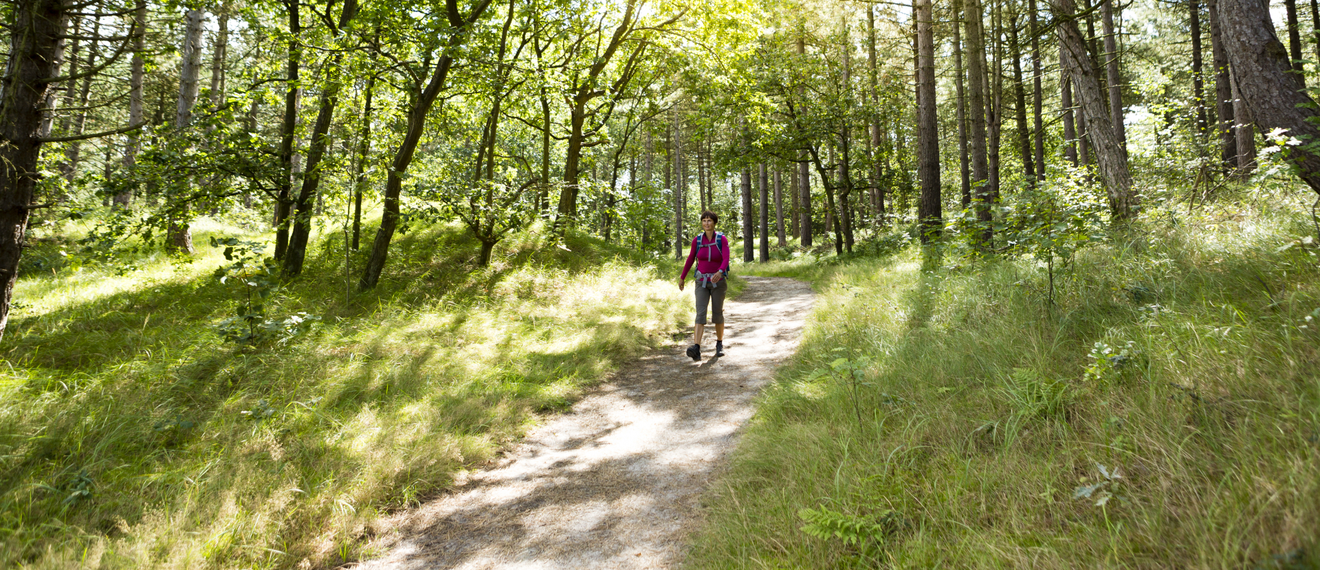 Wandelen LAW routes Nederland