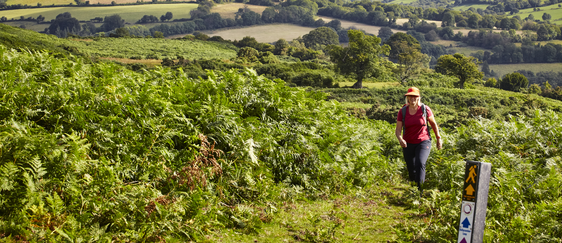 Wandelen Ierland Wicklow Way
