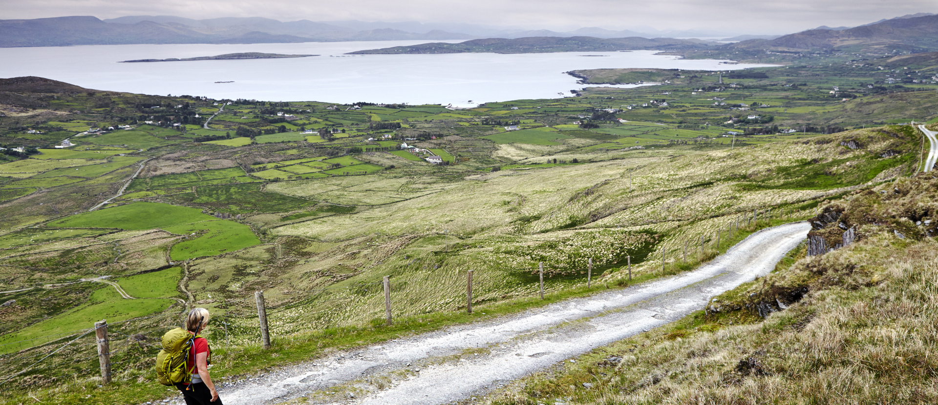 beara way