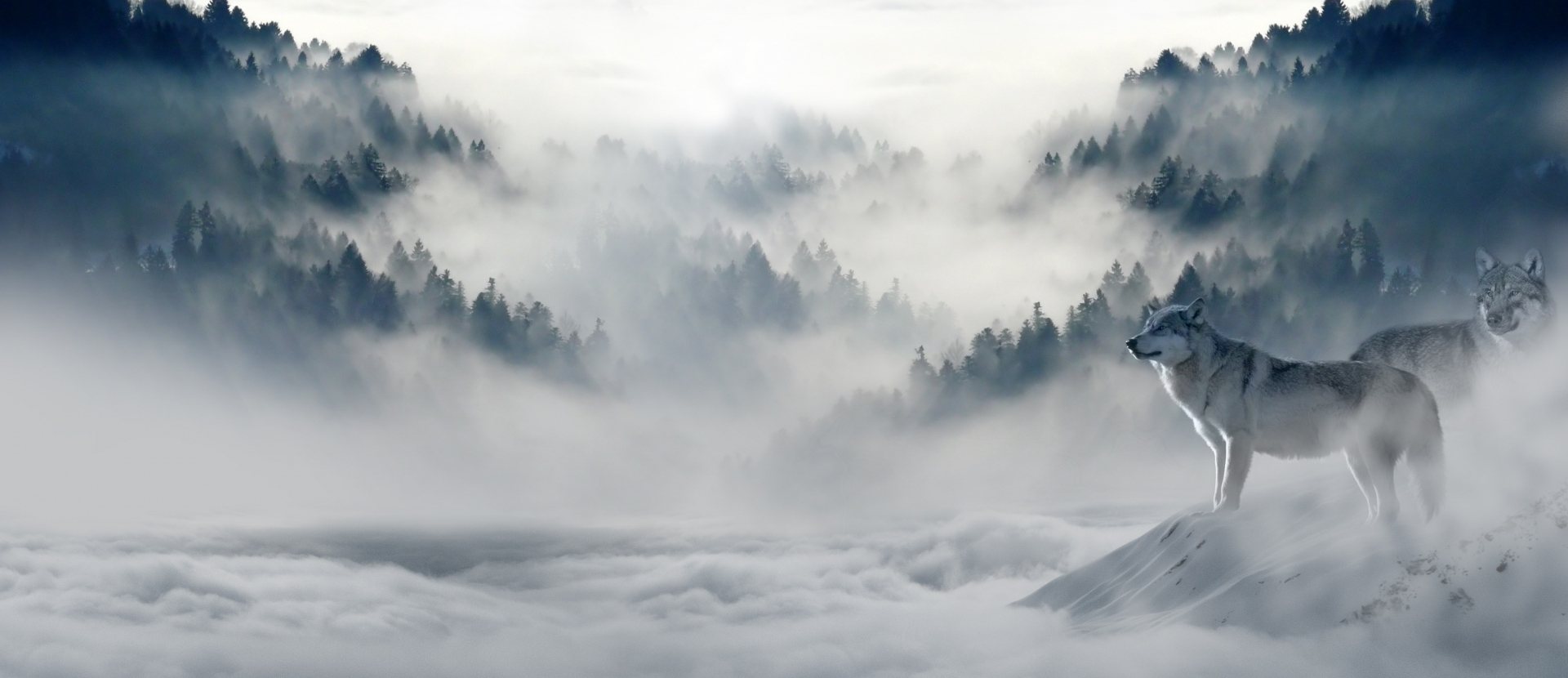 Feit of Fabel visual