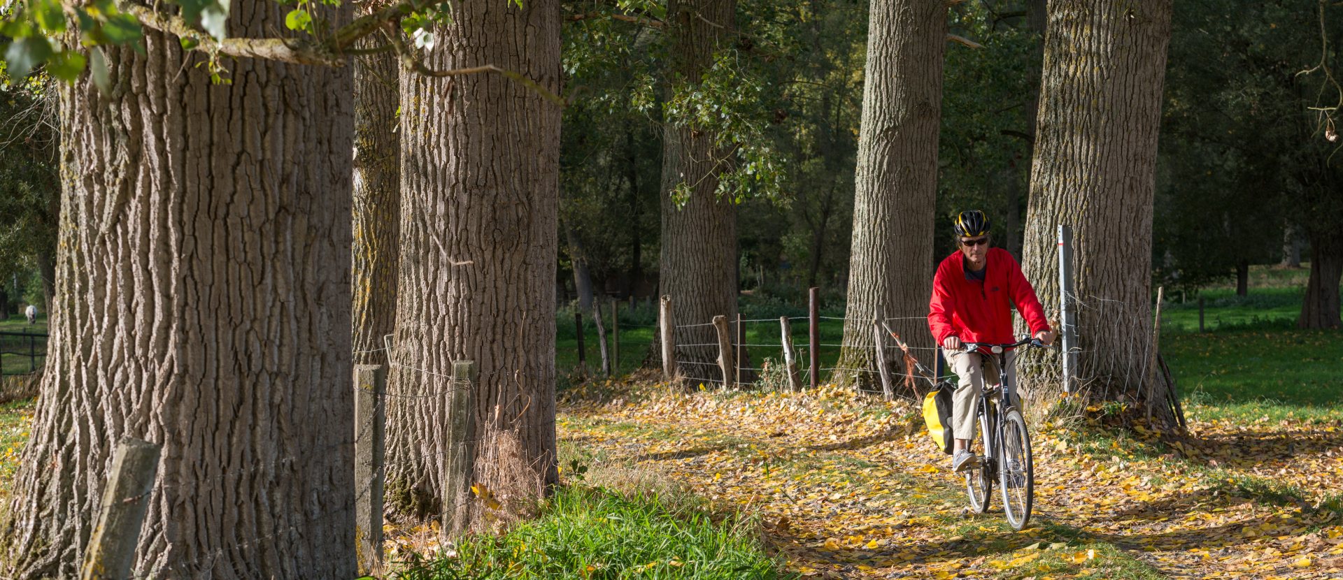 Fietsen in België Vlaanderen Pajottenland