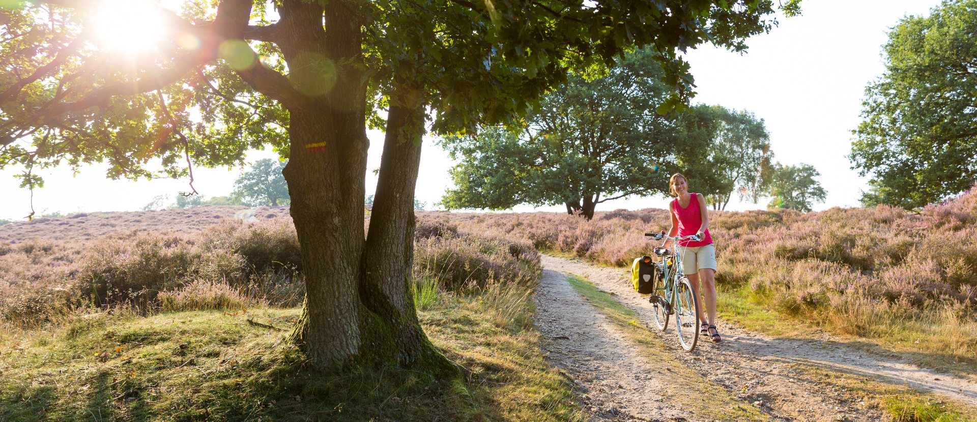 Fietserpad fietsen langs het Pieterpad