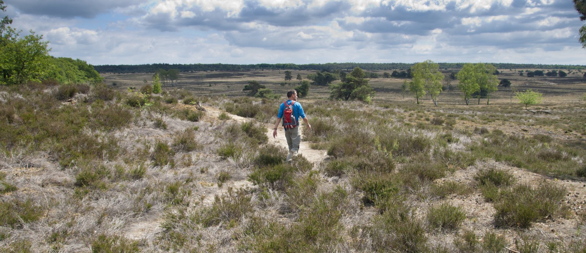 Wandelen Veluwe Edelherttrail