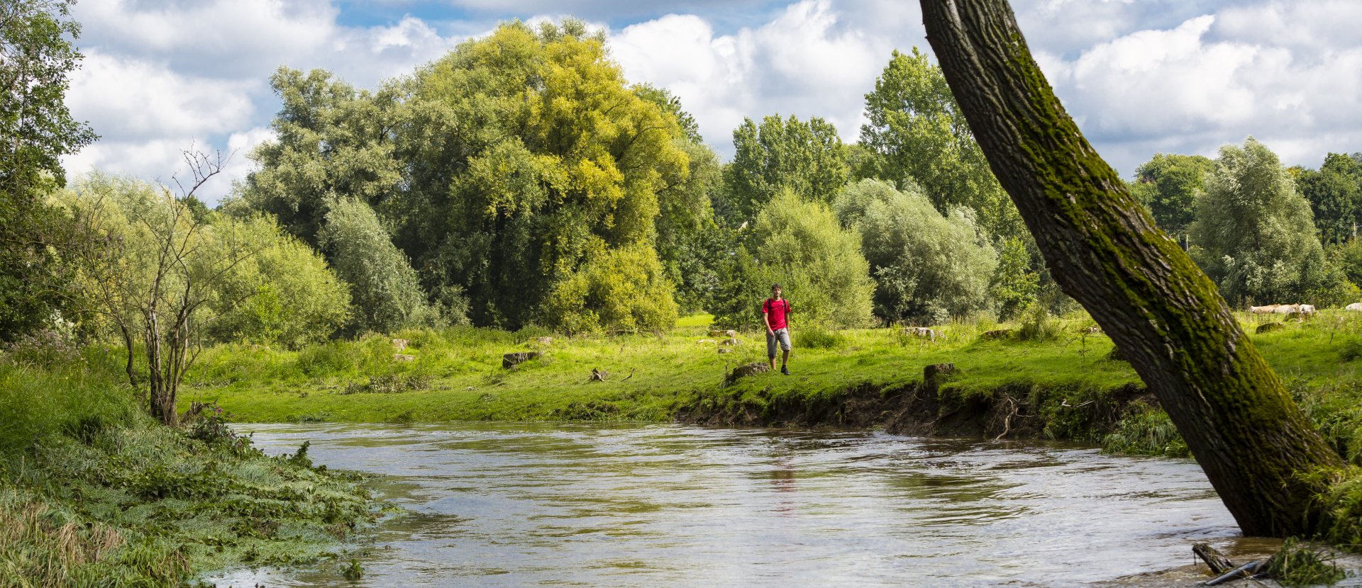 Wandelen Pelgrimspad LAW-7