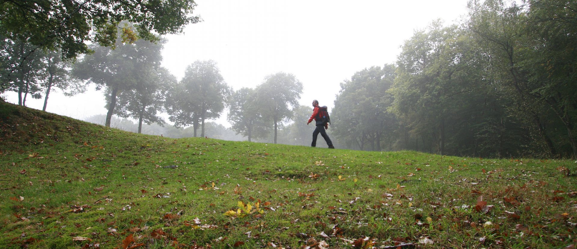 Wandelen net over de grens