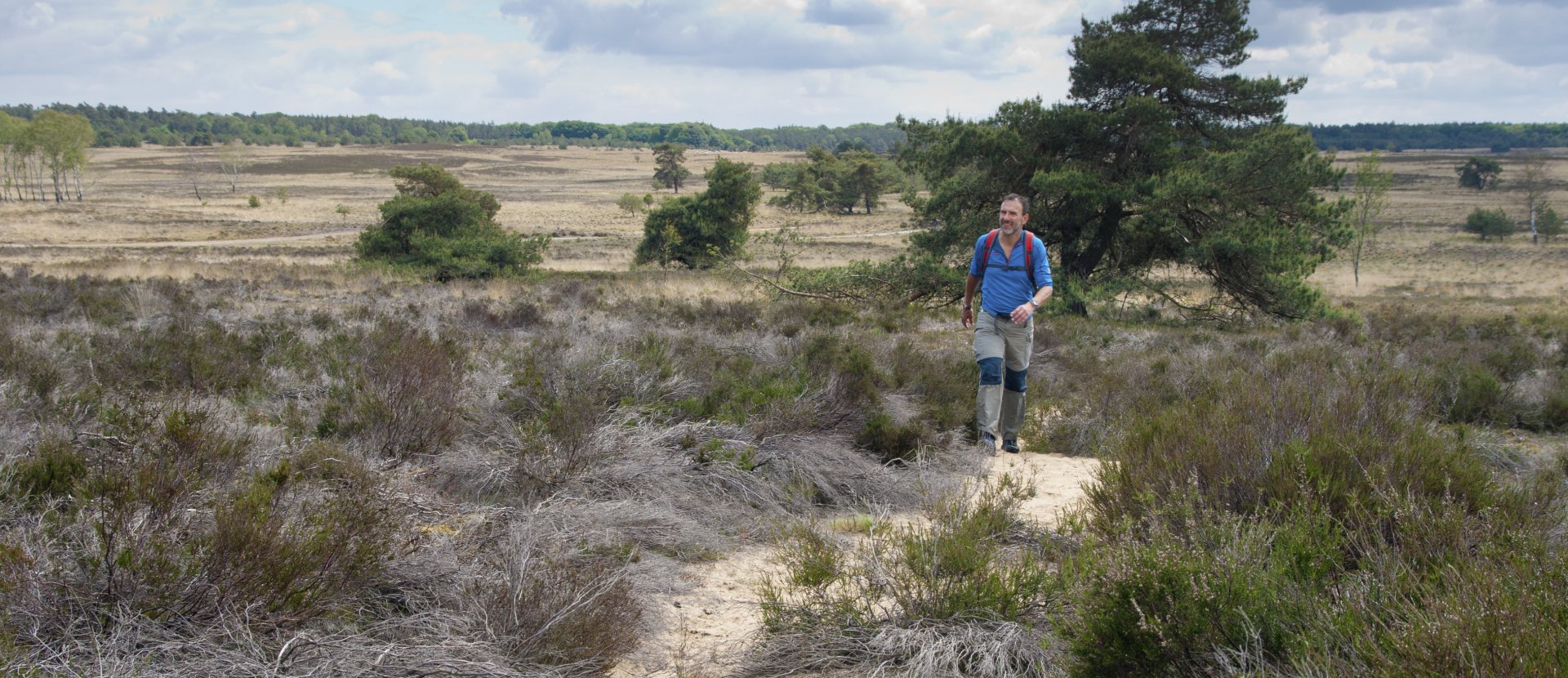 Edelherttrail Wandelroute Veluwe
