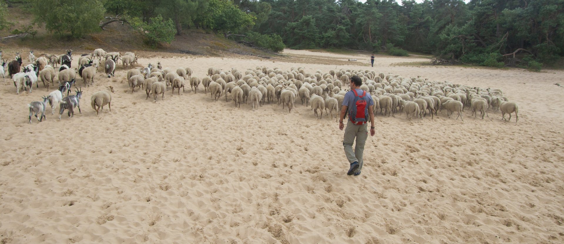 De Brand & Drunense Duinen