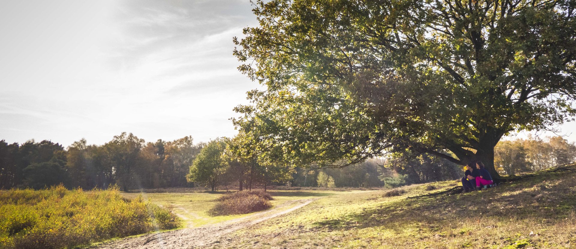 Edelherttrail Traject 3 Maas