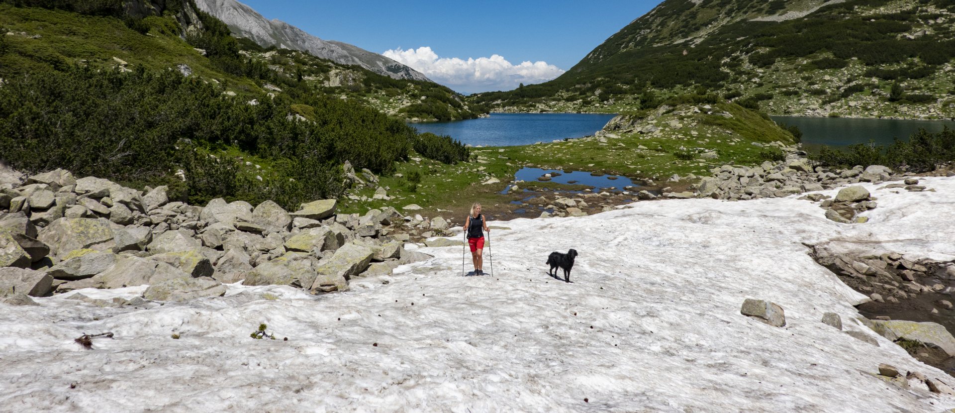Pirin National Park