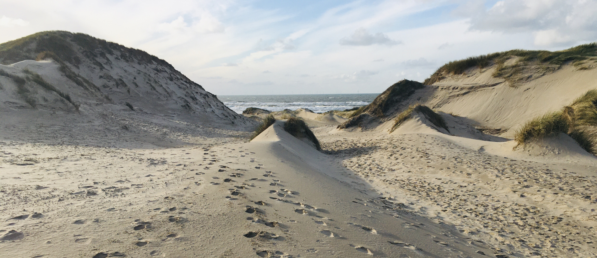 Noordhollands Duinreservaat