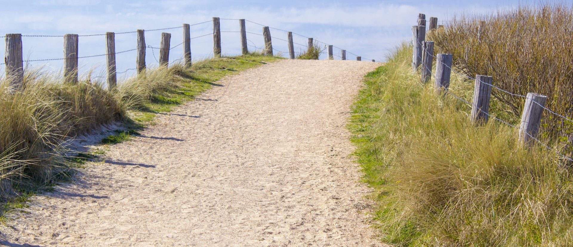 De duinen van Zoutelande